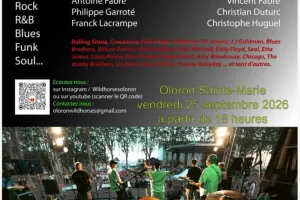 Concert des Wild Horses