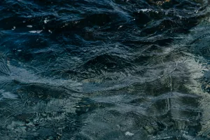 Exposition de photographies "L'eau"