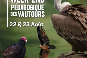 Week-end pédagogique des Vautours