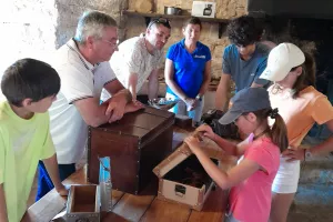 ESCAPE GAME FLASH CAUSSES ET CÉVENNES