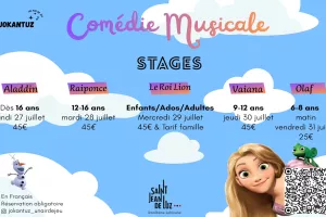 Stages de comédies musicales