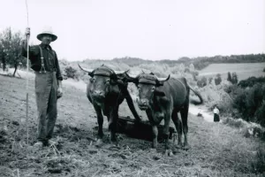 Exposition Mémoire : vie autrefois et objets anciens