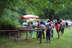 Marche gourmande à Pougne-Hérisson