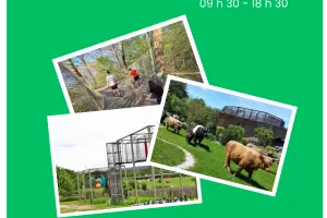 Sortie DivertiParc