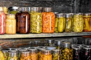 [Atelier lacto fermentation] Comment conserver les aliments sainement - COMPLET