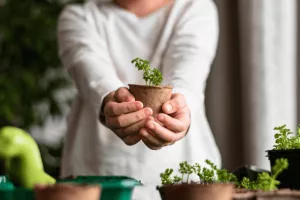 Les super-héros du jardin
