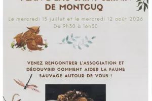Animations de La Belette au plan d'eau Saint Sernin de Montcuq