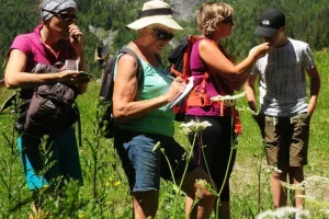 Balade : Mon herbier gourmand