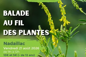 ETE CURIEUX : Balade au fil des plantes à Nadaillac
