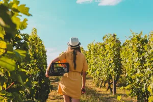 "Les vignerons prennent l'Aire" - Château Bernateau