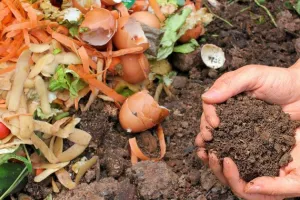 Atelier : Réussir ses composts