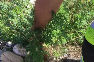 Protéger sa santé... à la source !