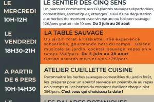 Atelier Cueillette et Cuisine en 3 temps