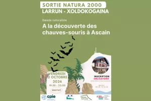 Balade naturaliste : à la découverte des chauve-souris