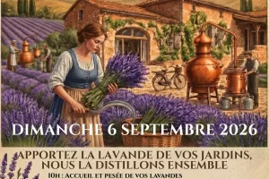 Distille ta lavande !