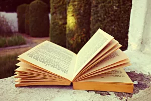 Premières Pages : Plouf tour, lectures au bord de l'eau au Vigan-en-Quercy
