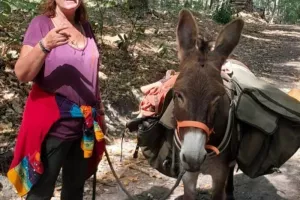 Balade contée avec un âne : la forêt enchantée