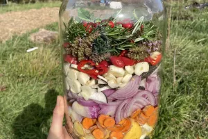 ATELIER KOMBUCHA, KÉFIR, BOISSONS FERMENTÉES...