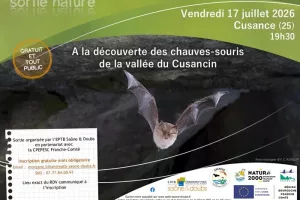 A la découverte des chauves-souris de la vallée du Cusancin