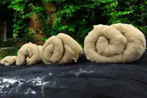 Atelier d'initiation au feutrage de la laine en famille