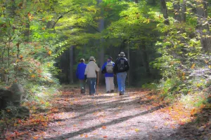 Sortie avec le Club Vosgien du Kochersberg : Kuttolsheim, Stephansberg