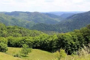 Balade-découverte à Albussac:  "Nature et paysages du site de Roche de Vic"