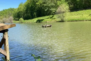 Concours de pêche