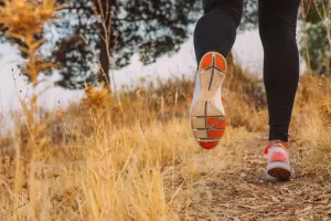 Trail semi-nocturne en relais