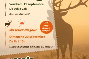 Sorties - Brame du Cerf