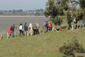 Les landes de Pen Bé
