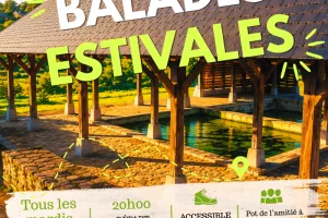 Balades estivales