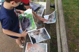 Découverte de la biodiversité au lac de la forêt de Châtellerault