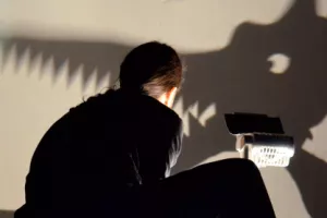 L'affaire méchant loup