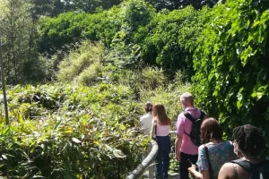 En bateau : visite des jardins du Parc de la Villette