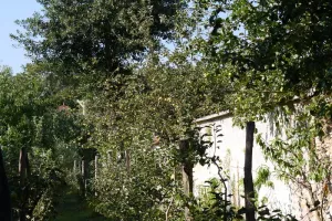 Visite des Jardins des Murs à Pêches