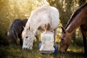 Vacances d'été au Cheval Emeraude