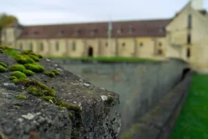 Visite guidée historique "Chronologie de Maubuisson : huit siècles dévoilés"