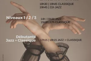 Stage de Danse