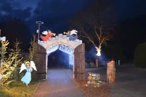Sur le sentier de Noël du Silberwald : animation guidée
