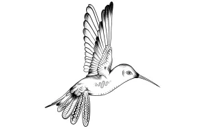 Stage de dessin et de peinture naturaliste