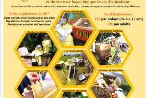 Expérience de Destination : Vivez ma passion avec les abeilles !