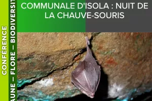 ALPES AZUR MERCANTOUR - Atlas de la biodiversité communale d'Isola : nuit de la chauve-souris