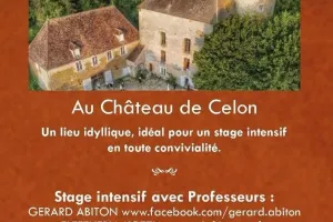 Les Nuits de la Guitare