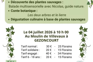 Balade et Conte Botanique en Petite Suisse Lorraine