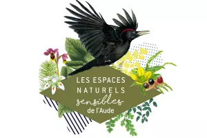 ENS - LEVEZ LE NEZ, HOLDA LA CIGOGNE VA PASSER !