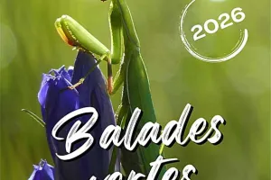 Balades Vertes en Haute-Marne : Les fruits sauvages de l’automne