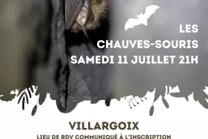 Sortie nature "A la rencontre des chauves-souris"
