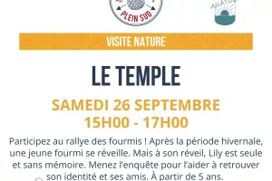 Sortie nature. Rallye des fourmis