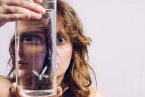 Maringouin, pour en finir avec l'anxiété peut-être