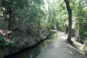 RANDO ACCOMPAGNEE : LE CANAL DE BOHERE, LA VIE SUR LES CONTREFOTS DU CANIGO